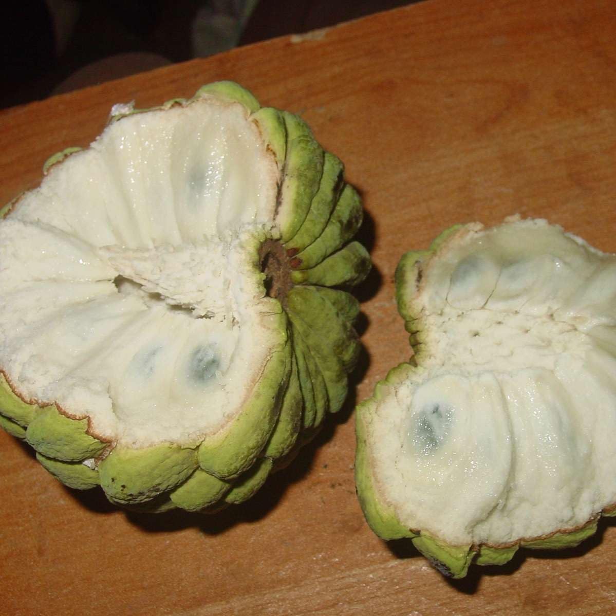 Live Plant - Sugar Apple (Annona Squamosa) Big Live Fruit Tree 12β-24β