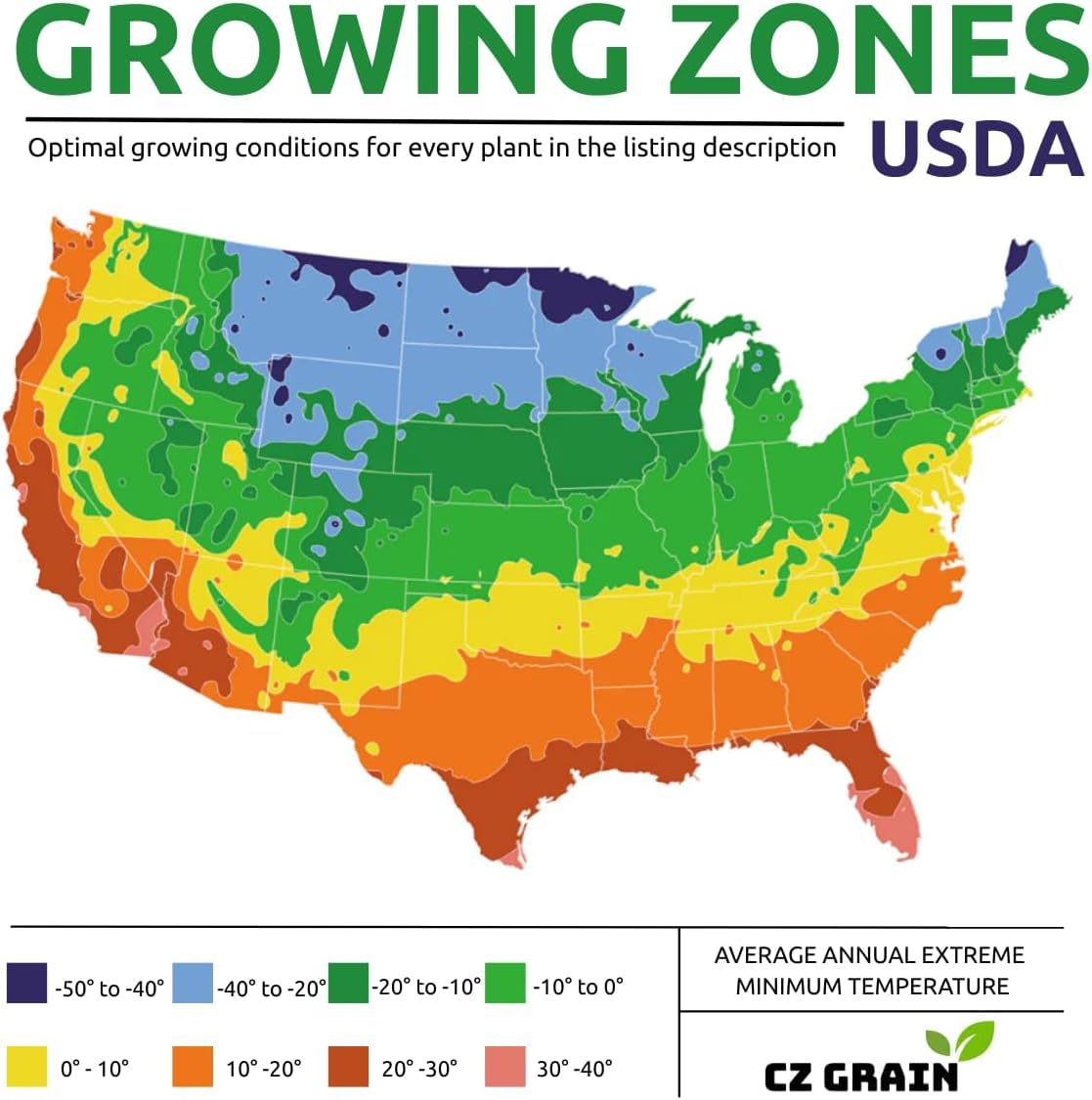 Bayberry Live Plant ā Myrica pensylvanica Native Shrub ā Fragrant Evergreen Foliage with Gray Berries ā Hardy Landscape & Wildlife Garden Plant (2 Plants)