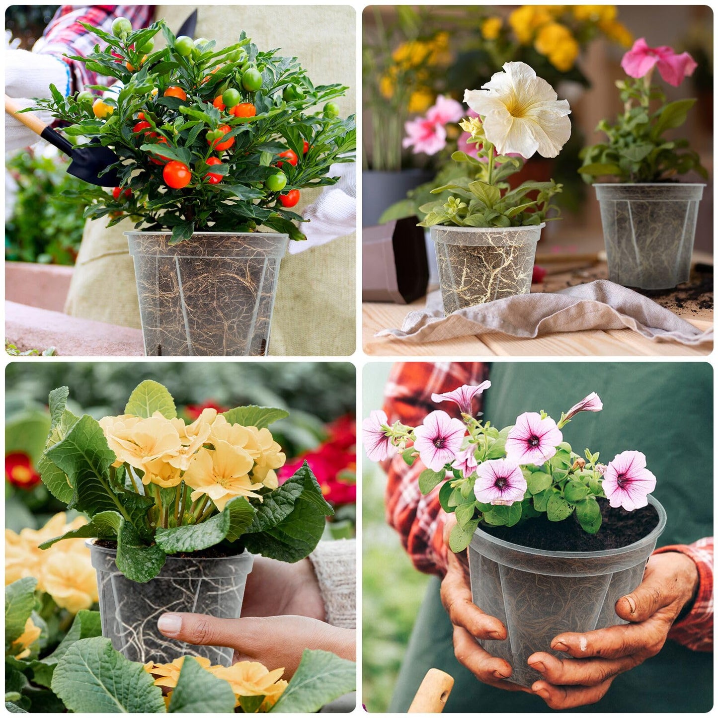 Clear Nursery Pots with Drainage, 30 Pack Transparent Plastic Orchid Planters, 6 Sizes Plant Pots 9.5/8.5/7/6/4.7/4 Inch with 30 Plant Labels for Seedlings, Succulents, Indoor/Outdoor Repotting