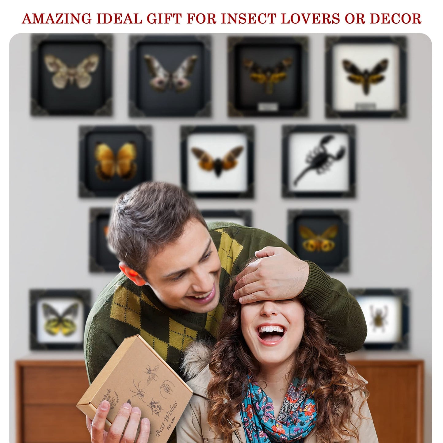 Real Tiger Moth Butterfly Insect Entomology Gifts Shadow Box Taxidermy Specimen Display Oddity Curiosities Tabletop Wall Art Hanging Home Decor Living Room K12-14-TR