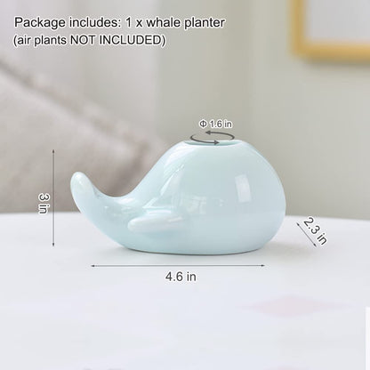 Mimeela Whale Planter Air Plant Holder Unique, Ceramic Animal Succulent Pots Large Air Plants Holders, Cactus Pot Airplant Planter Holder Office Desk Decor (Light Blue Whale)