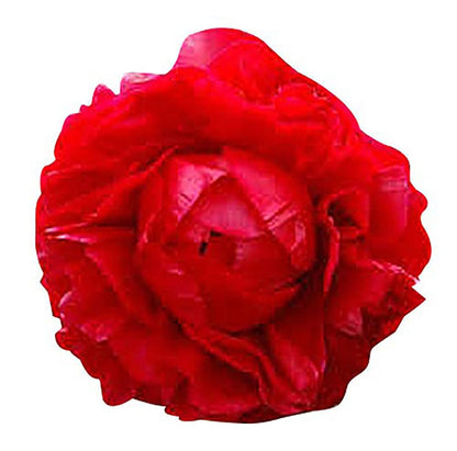 First Out - Early Double Dark Red Peony, Bare Root 3-5 Eyes, Peony Bulbs for Planting, Live Peonies Plants, Fernleaf Peony, Peony Plants Ready to Plant, Tree Peony Bulbs for Spring Planting 2025