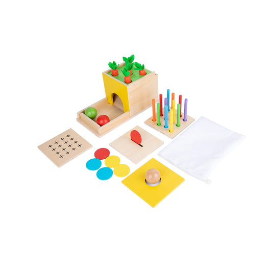 Montessori Toddler Play Kit Montessori Box Toys for 1 Year Old 2 Years Baby Learning Toys Gift Carrot Harvest Game, Matchstick Color Drop Game and Coin Box (5-for-1)