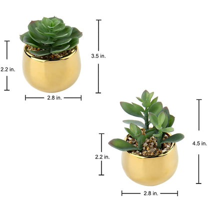 Briful Small Artificial Succulents in Pots Set of 2 Realistic Faux Succulents Plants with Gold Ceramic Pots Cute Mini Fake Plants Decor for Modern Home Table Office Desk Bathroom Shelf Decoration