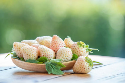 White Strawberry Plants for Growing - White Pineberry are Tasty and High Yielding Each Season (10 Plants)