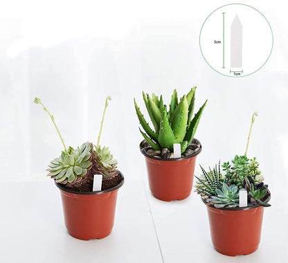 JERIA 100-Pack 4 Inch Plastic Plant Nursery Pots Come with 100 Pcs Plant Labels, Seedling Flower Plant Container and Seed Starting Pots