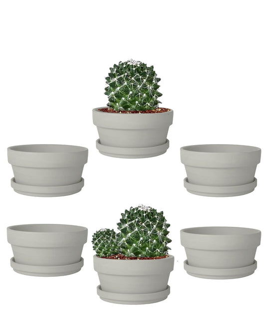 vensovo 5.7 Inch Grey Terracotta Shallow Succulent Pots - 6 Pack Terra Cotta Clay Pot with Saucer, Cacuts Indoor and Outdoor Planters with Drainage Hole