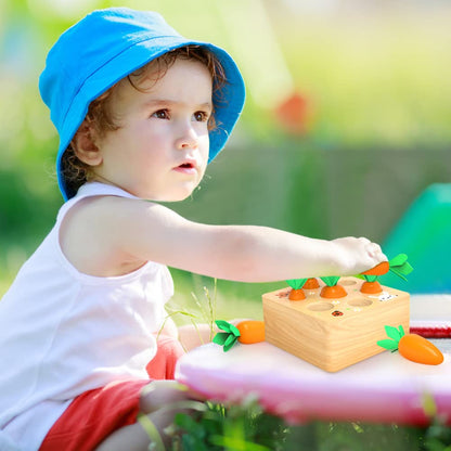 Wdmiya Montessoritoys for 1 Year Old, Wooden Toys Developmental Shape Sorting & Matching Puzzle Carrots Harvest Game, Birthday Gifts for Toddlers Babies Boys and Girls 6-12 Months Christmas