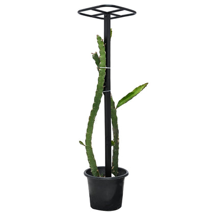 Yohsnor Dragon Fruit Trellis for Climbing Plants 50 * 12inches – Durable Metal Vertical Support Frame for Outdoor Gardens, Easy to Assemble, Stylish Design – Ideal Gift for Plant Enthusiasts