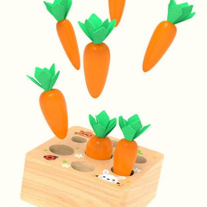 Ancaixin Montessori Toys for Babies 6-12 Months, Wooden Toys for 1 Year Old Boys and Girls, Educational Carrot Harvest Toy for Toddlers, Shape Sorting Matching Puzzle, Developmental Birthday Gifts