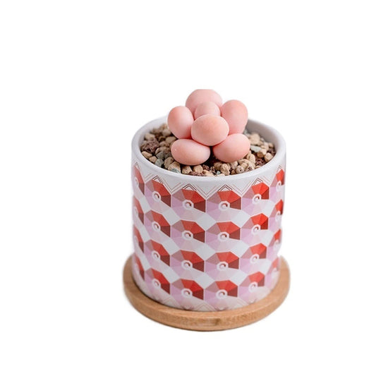 INLIMA Plant Pot Flower Pots Home Living Room Decoration Ornaments Garden Succulent Potted Plants (Color : 2)