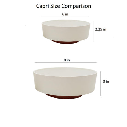 The HC Companies 8 Inch Round Plastic Succulent Capri Bowl Decorative Indoor Flower Succulent Planter Pot with Drain Plug Hole, Vanilla Bisque