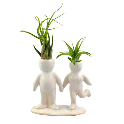 NW Wholesaler 5 Inch White Ceramic Couple Holding Hands People Shaped Planter with Two Live Tillandsia Air Plants - Potted Indoor Air Plants for Home and Office Decor