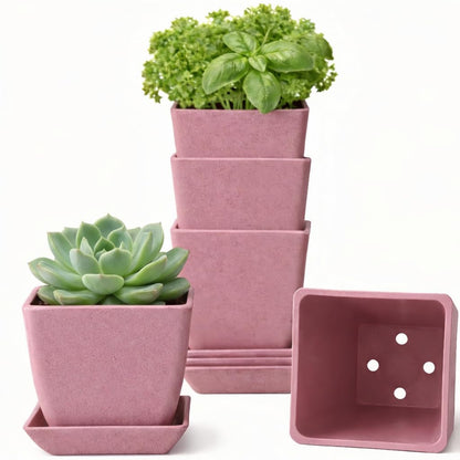 3.5 Inch Small Planter Pots with Drainage Holes and Saucers, Matte Square Indoor Plant Pots for Succulents and Herbs, Lightweight Modern Planters for Kitchen Herb Garden, Windowsill or Desk 5 Pack