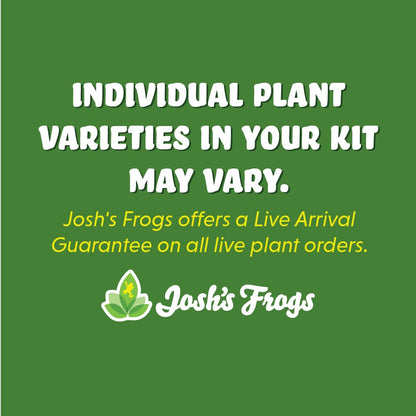 Josh's Frogs Desert Plant Kits for Arid Bioactive Terrariums (Extra Small)