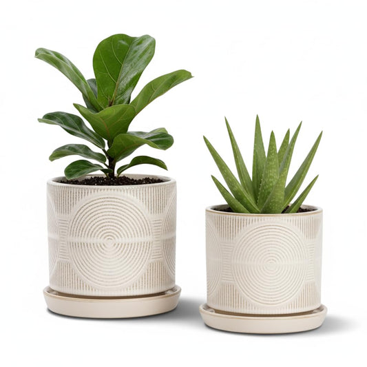 Seworlan Ceramic Plant Pots, Pots for Plants(4.5+5.5inch), Flower Pots for Indoor planters with Drainage and Tray, Indoor Plant Pots for Succulents Cactus Herbs - Small Planters for Home Office Decor