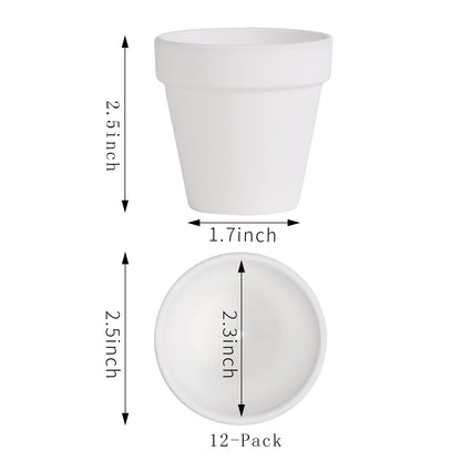Yishang 2.5 inch White Terracotta Pots with Drainage Holes,Small Mini Clay Ceramic Pottery Planter,Cactus Flower Terra Cotta Pots,Succulents Nursery Pots for Indoor/Outdoor Plants,Crafts-12 Pack