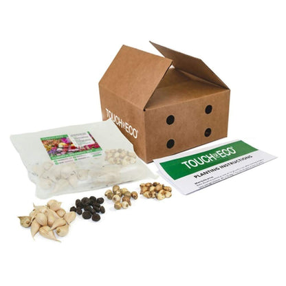 Amazing Deal - Complete Spring & Summer 100 Bulbs - Garden Party Flower Bulb Collection - Beautiful Sun Loving Flowers with Large Corolful Blooms - Variety Colors - Butterflies, Bees & Hummingbirds