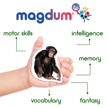 110 Fridge Magnet for Toddlers in Gift Tin Box Kids Magnets for Fridge - Realistic Magnetic Animals for Refrigerator - Safe Educational Materials for Baby: Zoo, Farm, Fruits, Vegetables, Transport