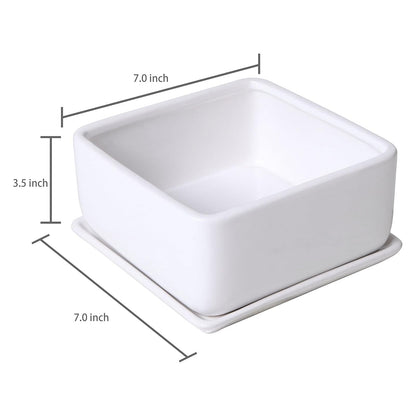 MyGift Modern White Ceramic Square Indoor Small Planter, Flower Succulent Plant Pot with Drainage Hole and Removable Drip Tray