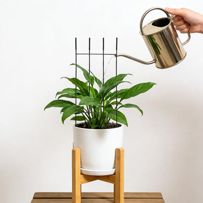 32.6inch Plant Trellis for Pot Climbing Plants Indoors & Outdoor, Garden Trellis for Potted Plants, Rust-Proof Metal Sturdy Yet Gentle Climbing Stakes Support for Ivy Pothos Hoya Monstera (6pcs)