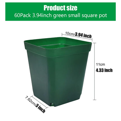 RooTrimmer Square Nursery Succulent Pots 4 Inches 60 Pcs Deep Flower Plant Nursery Seedling Grow Pots Plastic with Drainage (Green, 4Inches, 60Pcs)