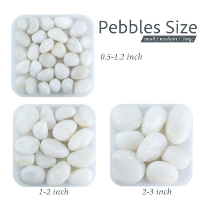 GreenVibe Large Pebbles for Plants, 5lbs White Pebbles 2-3 Inch Decorative River Rocks for Indoor Planters, High Polished Stones for Vase Filler Fish Tank Landscaping Garden
