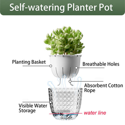 XKYQSY 2 Pack 6 inch Self Watering Pots Planters for Indoor Plants, African Violets Pots with Wick Rope, Modern Plastic Nursery Pots for All House Plants,Flowers Succulents,Herbs,Cactus,Orchids