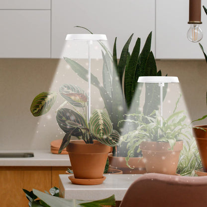 GYTF 2 Pack Halo Plant Grow Light, 6000K White LED Full Spectrum Growing Lamp for Indoor Plants, Succulents, Mini Bonsai, Small Plants, Height Adjustable, Dimmable & Timer 4/8/12/18Hrs