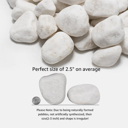 LOOIOOJ White Natural River Rocks, 2-3.5 Inch Decorative Stones for Plants, Garden, and Landscaping – 40LB, Ideal for Fish Tanks, Vases, Crafting, Home Decor, and Outdoor Landscaping