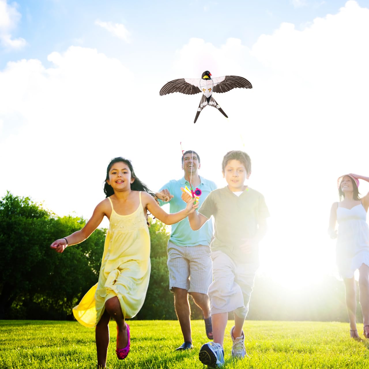 Gogogmee Swallow Bird Kite with Fishing Pole Easy to Fly Lightweight Outdoor Kids Kite for Family Fun and Play