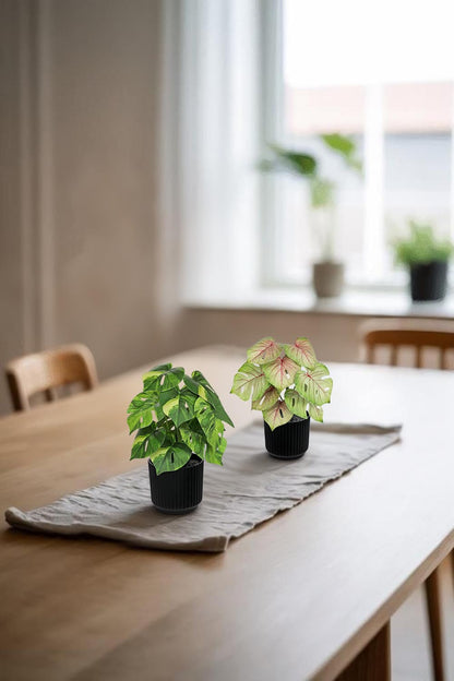 Oairse Small Artificial Monstera Potted Plant - 2 Pcs Faux Monstera Plants Mini Fake Greenery Deliciosa Plant Potted Fake Tropical Plants in Pot for Home Office Table Room Farmhouse Indoor Decoration