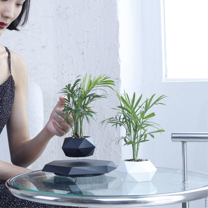 MOOCCI Levitating Plant Pot Floating Plant Potted Plant, Air Bonsai and Artificial Plants, Home Office Desk Decor, Gift for Easter, Mother's, Father's Day（Black