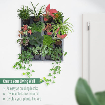 Inspiration Jungle Self Watering Wall Planter with 4 Pots - Easy to Create Indoor Living Wall for Home, Office and Shop Front - Includes Water Gauge (Black)