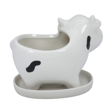 Gemseek Cute Cow Succulent Planter Pot with Drainage Tray, Small White Ceramic Cactus Flower Container, Animal Shaped Indoor Air Plants Holder