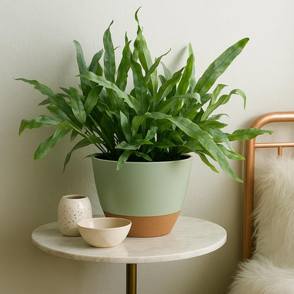 TYMENSH Plant Pots 12/10/9 inch Set of 3, Self Watering Flower Pots Indoor Outdoor, Planters with Drainage Hole Saucer Reservoir, Green