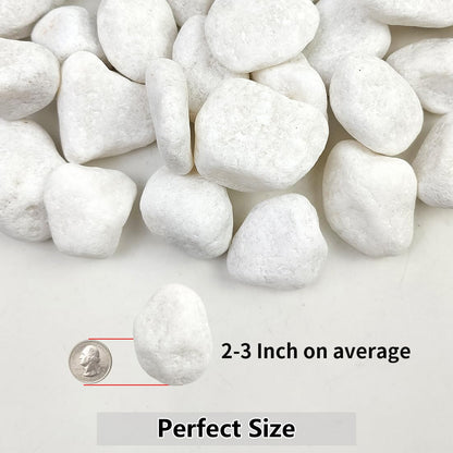 YISZM 5lb White Pebbles for Indoor Plants, 2-3 Inch Natural River Rocks, Snow White Decorative Stones, Ideal for Fish Tank, Vases, Crafting, Home Decor and Garden Landscaping Rocks