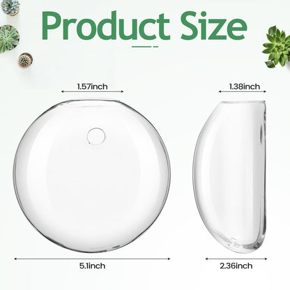 Layhit 8 Pcs Wall Hanging Planters Terrarium Glass Propagation Wall Mounted Planter Oblate Flower Vase Clear Glass Plant Containers for Hydroponics Plants Home Office Garden Decor