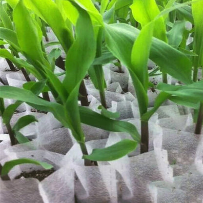 EVANEM 100Pcs Biodegradable Non-Woven Seedling Pots Eco-Friendly Planting Bags Nursery Bag, Plant Grow Bags Garden Accessories(12x13cm(Diameter7High9.5))