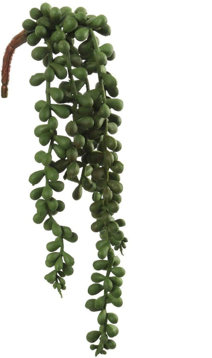 Larksilk 13-Inch Hanging Succulent Plant Strand with 3 Pearls - Lifelike Durable and Easy-to-Hang Decor for Indoor/Outdoor Spaces - Perfect for Home, Office, Events