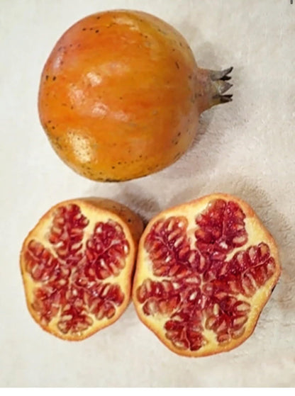 Live Plant - Pomegranate-2 Trees- Sirenyevi-Cold Hardy!