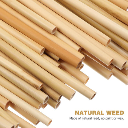Mipcase Natural Reed Bee Tubes 200 Pack Mason Bee House Tubes Replacement Nest Liners for Pollination Breeding and Beekeeping Supplies 5.90In Length
