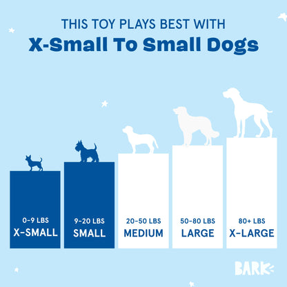 Barkbox Wild Berry Bunch Multi Part Toy for Dogs and Puppies - Small Breeds