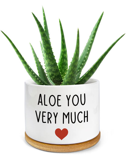 PWHINGN Thank You Very Much Engraved White Ceramic Succulent Planter Pot, Funny Indoor Plant Pot for Home Office Windowsill, Aloe Cactus Flower Pot 3.8 Inch, Plant Pot Gift (Plant Not Included)