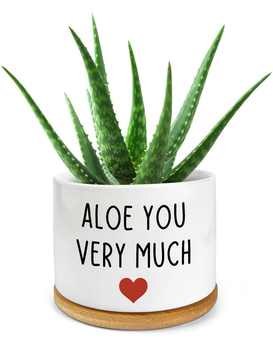 PWHINGN Thank You Very Much Engraved White Ceramic Succulent Planter Pot, Funny Indoor Plant Pot for Home Office Windowsill, Aloe Cactus Flower Pot 3.8 Inch, Plant Pot Gift (Plant Not Included)