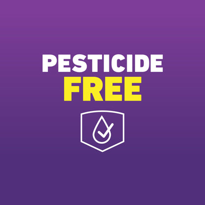 Ortho Home Defense Max Bed Bug Trap - Detect Bed Bugs in Homes and While Traveling, Package Contains 2 Traps