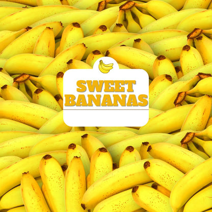 Banana Tree Live Plant, Banana Plant Live, Cold Hardy, Well-Rooted, Sweet Fruit, 4-6 Inches Tall for Outdoor Planting (Grand Nain Banana)