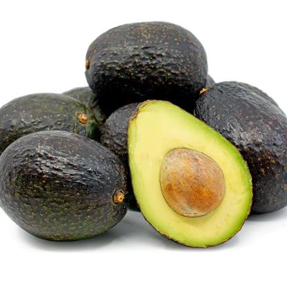 2 Years Old Avocado Tree Grafted, 1-2 Feet Tall in 3 Gallon Pot,Ready to Plant and Bear Fruit (Black)