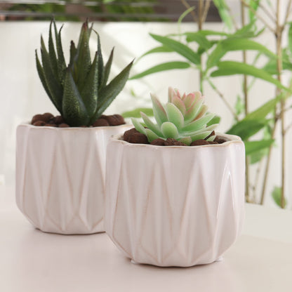 Padolitlay Plant Pot 4 Inch Ceramic Pots, Set of 2 Flower Pots Crackle Glaze Small Planters Pots with Drainage Hole and Mesh Pads for Indoor Outdoor Garden Pots Succulent, Cactus, Herbs (White)