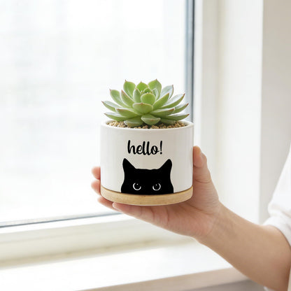 Funny Hello Black Cats Ceramic Plant Pot for Succulent, Cute Cat Cactus Flower Planter for Windowsill Indoor Decor, Home Office Decoration for Plant Lovers Friends Cat Owner Lover (No Plants) (Hello)
